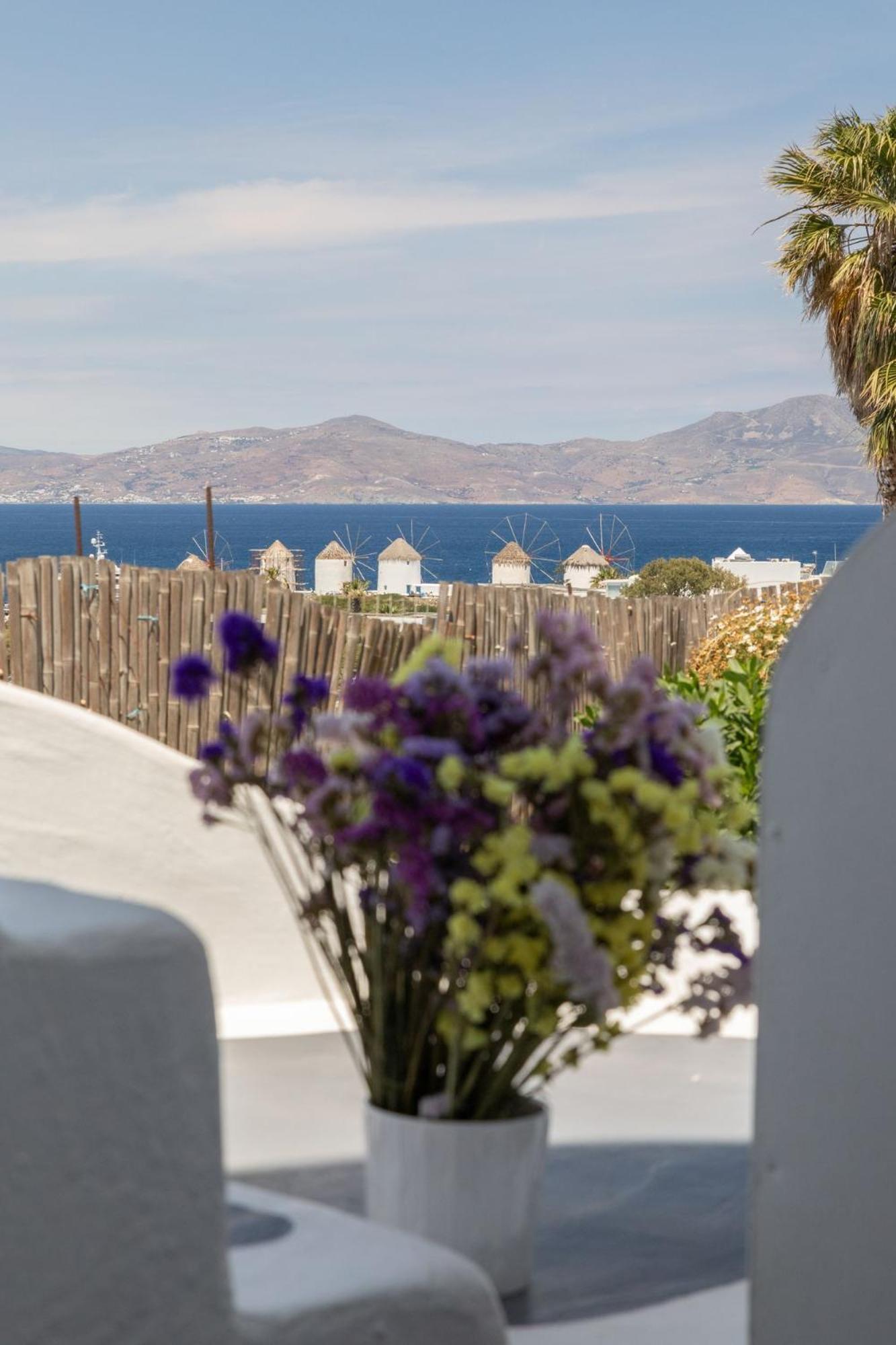 Dimele Aparthotel Mykonos Town Kültér fotó